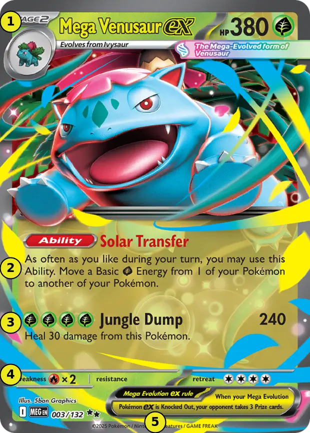 A genuine Mega Venusaur ex card with numbered markers on the areas to check