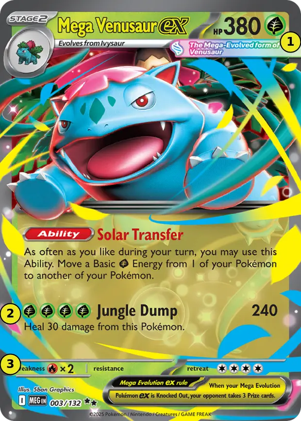 A Mega Venusaur ex card with numbered markers on its HP, attack cost, and Weakness and Retreat